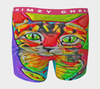 Rave Kitty Boxer Briefs (mens) - WhimzyTees