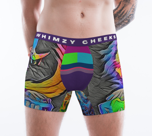 Curioso-in-Technicolor Boxer Briefs (mens) - WhimzyTees