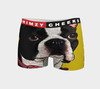 Professor Boxer Briefs (ladies) - WhimzyTees